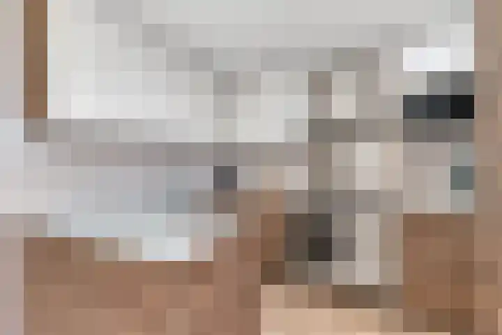 Prof. Meijerslaan 132 Rijswijk thumbnail 4