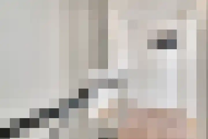 Prof. Meijerslaan 132 Rijswijk thumbnail 42
