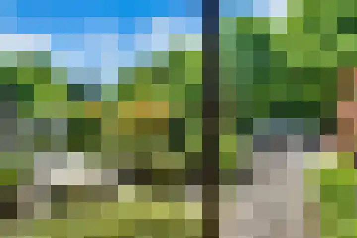 Prof. Meijerslaan 132 Rijswijk thumbnail 48