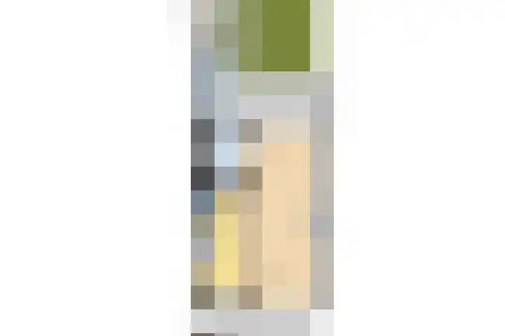 Prof. Meijerslaan 132 Rijswijk thumbnail 5
