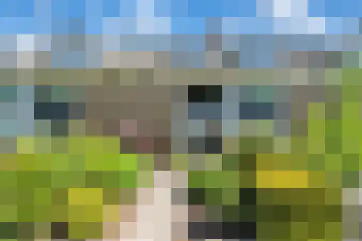 Prof. Meijerslaan 132 Rijswijk thumbnail 6
