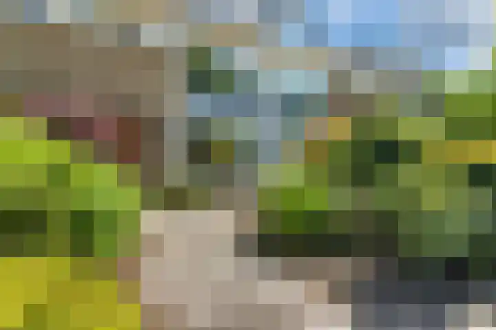 Prof. Meijerslaan 132 Rijswijk thumbnail 7