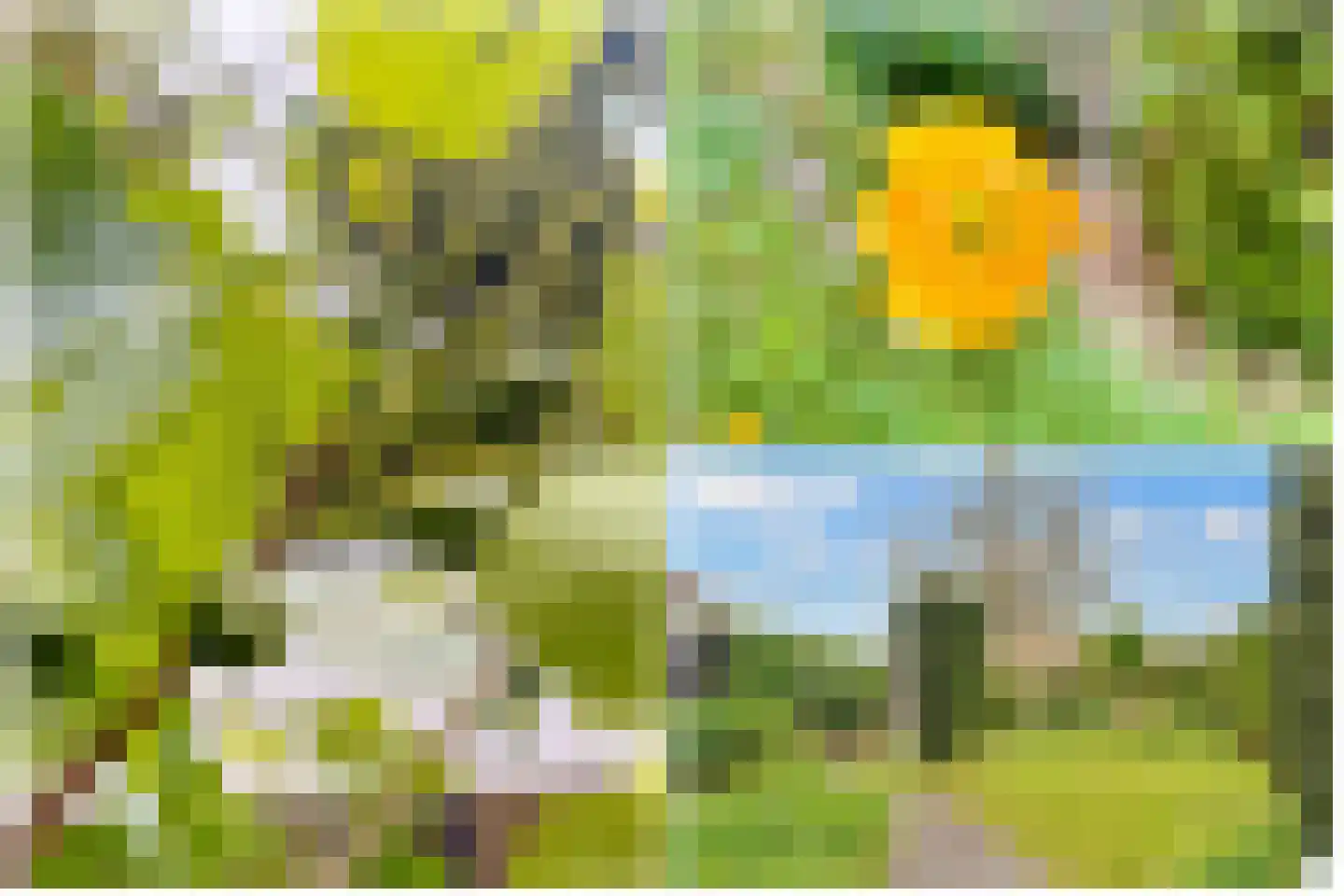 Prof. Meijerslaan 14 Baarn thumbnail 34