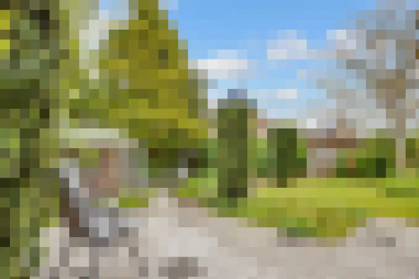 Prof. Meijerslaan 14 Baarn thumbnail 37