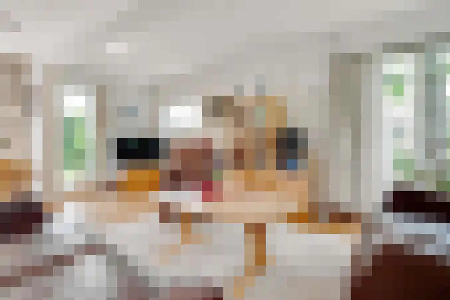 Prof. Meijerslaan 14 Baarn thumbnail 7
