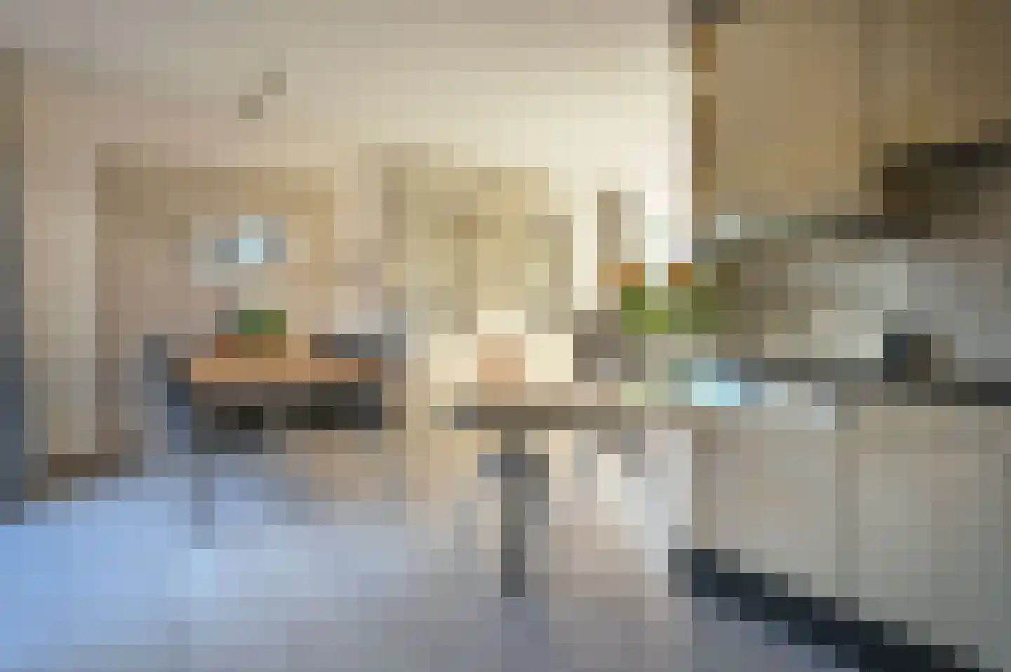 Prof. Meijerslaan 2 Baarn thumbnail 11