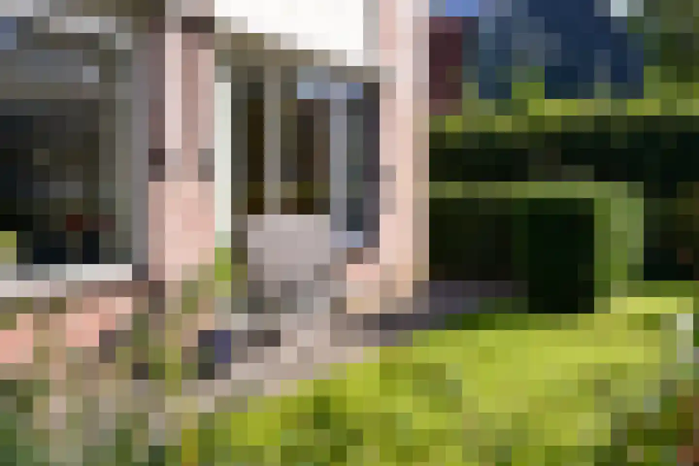 Prof. Meijerslaan 2 Baarn thumbnail 30
