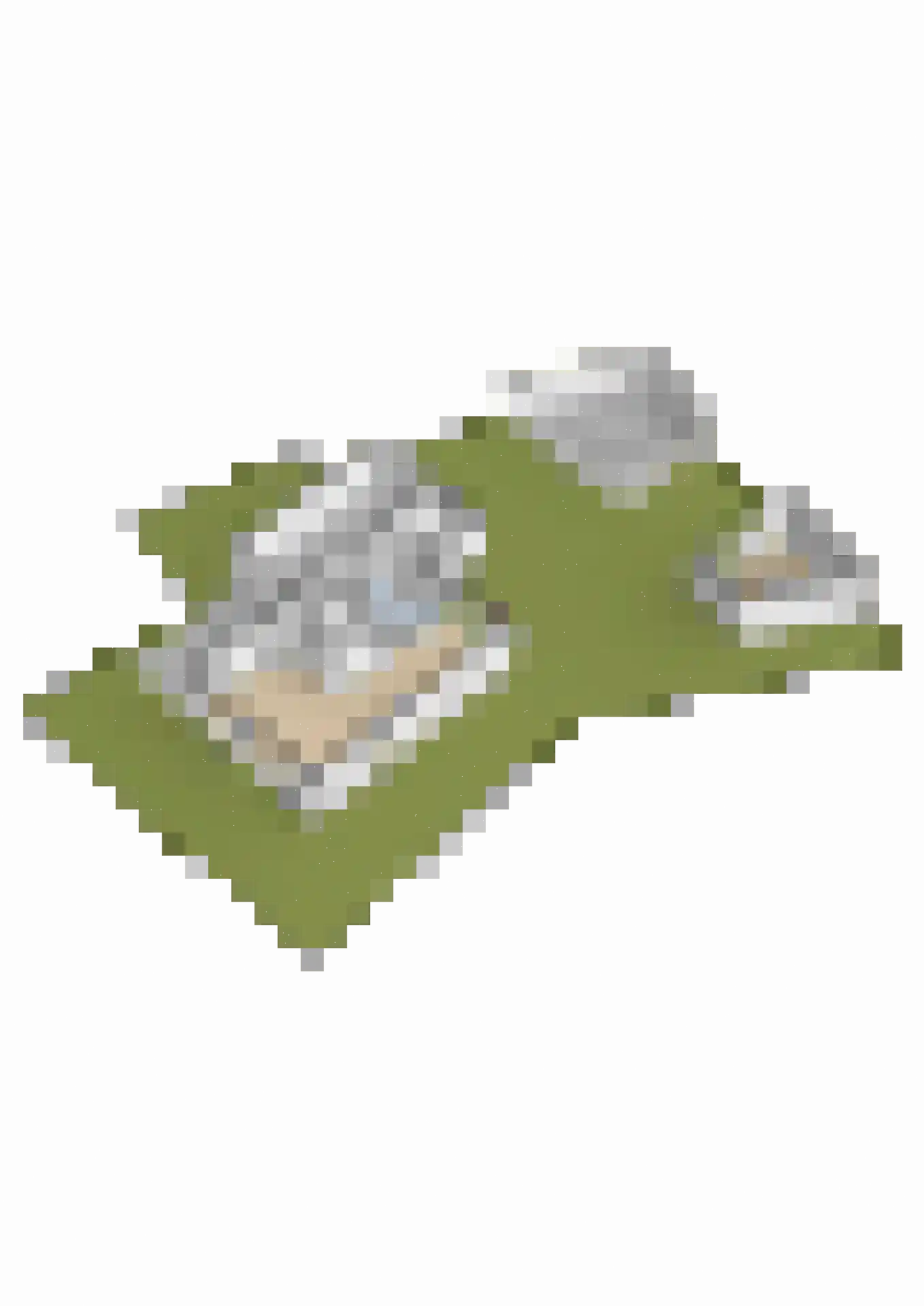 Prof. Meijerslaan 2 Baarn thumbnail 44