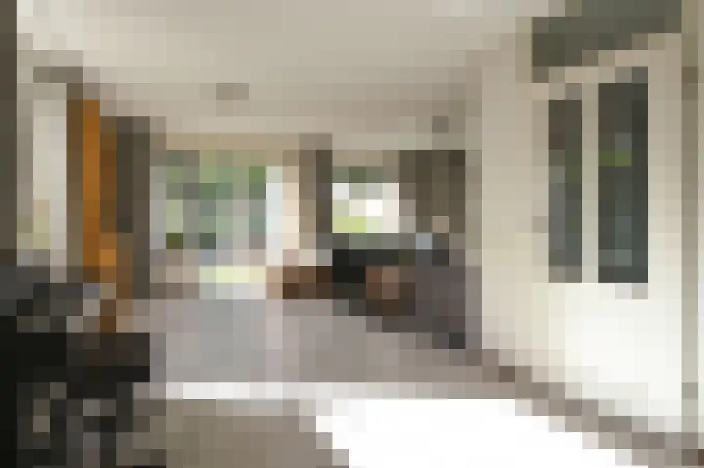 Prof. Meijerslaan 2 Baarn thumbnail 6