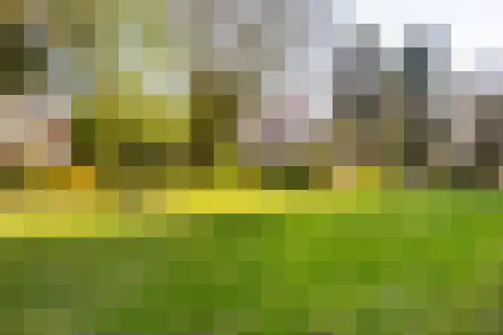 Prof. Meijerslaan 2 Rijswijk thumbnail 17