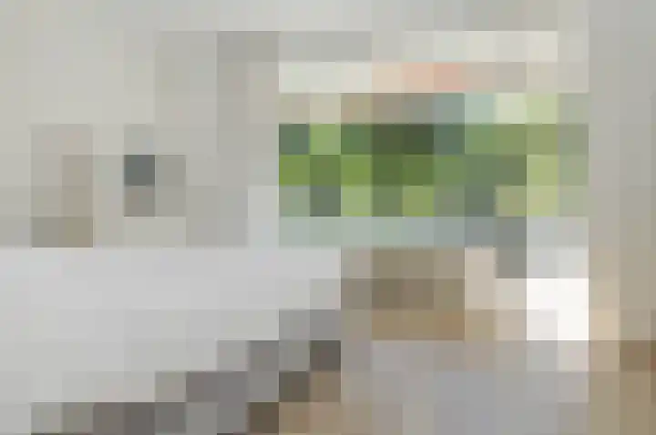 Prof. Meijerslaan 2 Rijswijk thumbnail 5