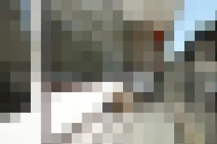 Prof. Meijerslaan 2 Rijswijk thumbnail 6