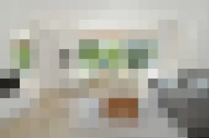 Prof. Meijerslaan 2 Rijswijk thumbnail 8