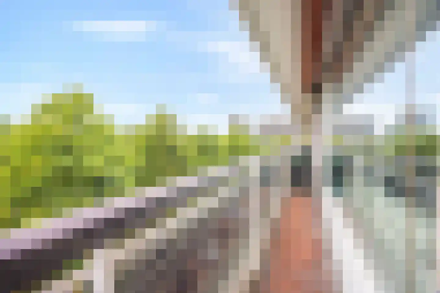 Prof. Meijerslaan 32 Rijswijk thumbnail 20