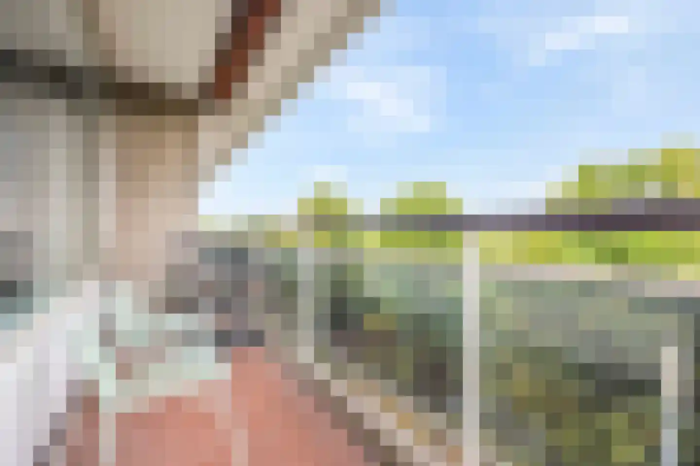 Prof. Meijerslaan 32 Rijswijk thumbnail 21
