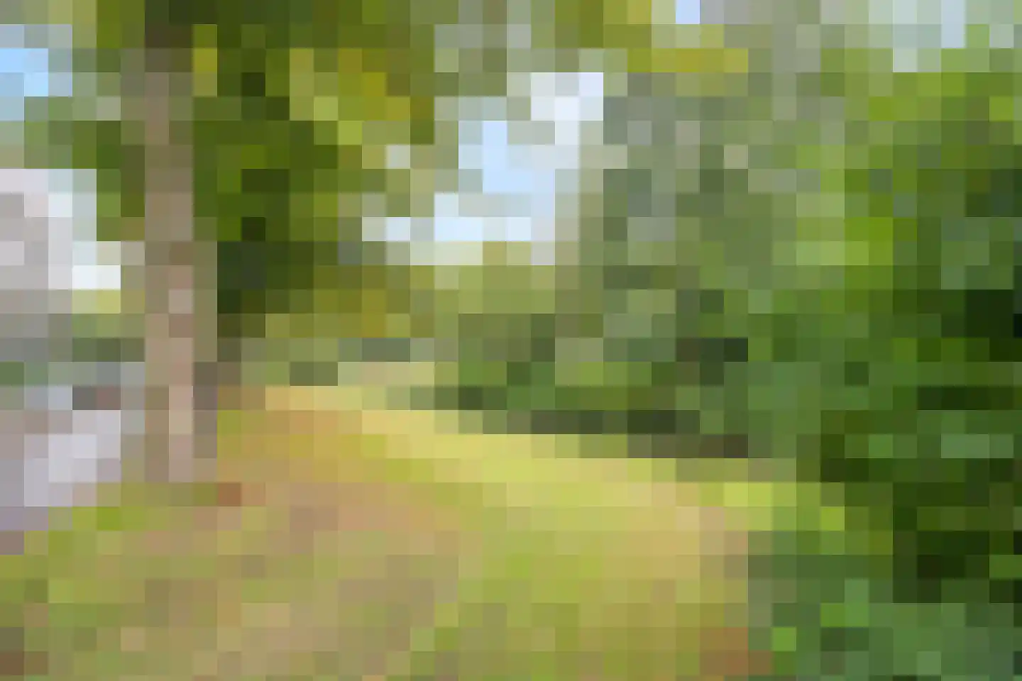 Prof. Meijerslaan 32 Rijswijk thumbnail 6