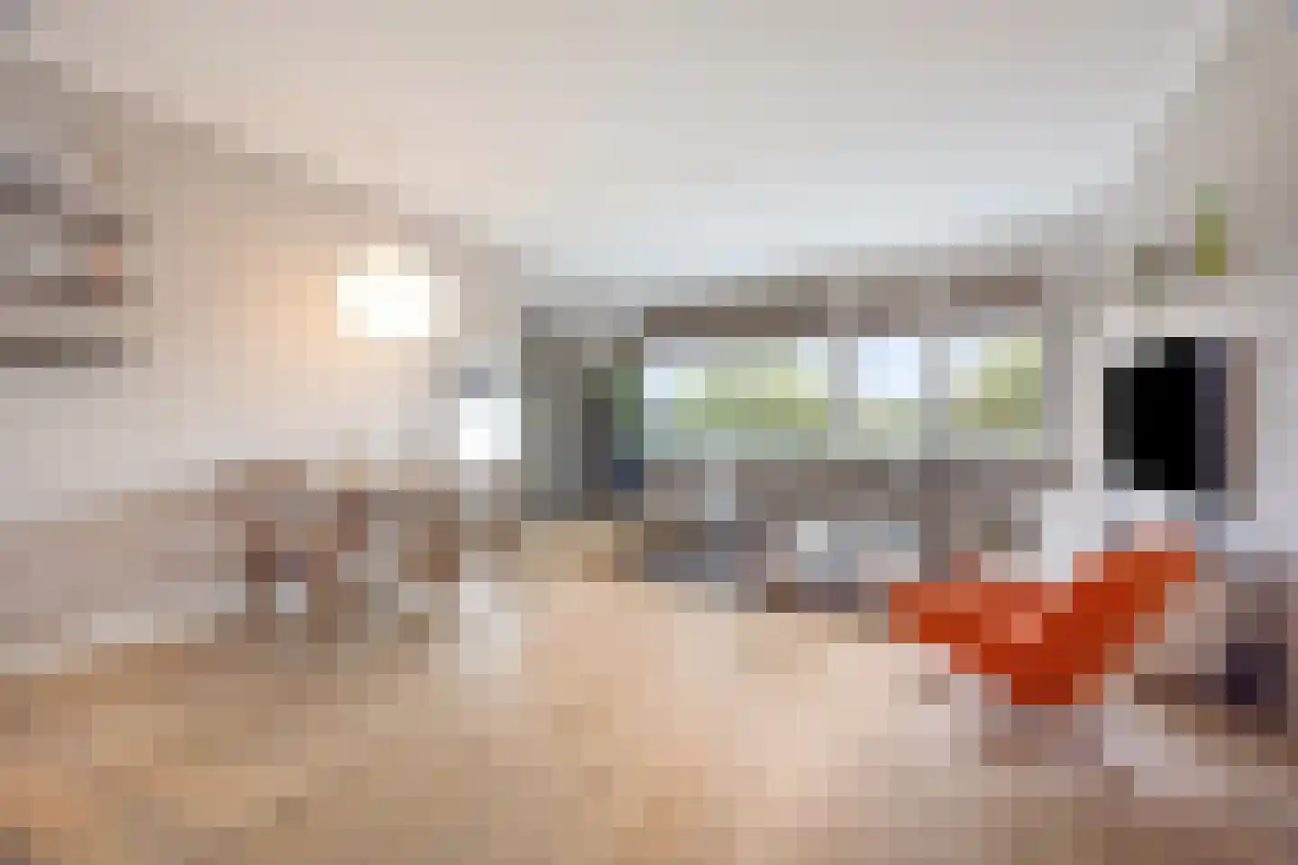 Prof. Meijerslaan 32 Rijswijk thumbnail 9