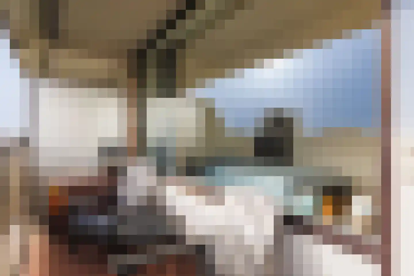Prof. Meijerslaan 33 Rijswijk thumbnail 23