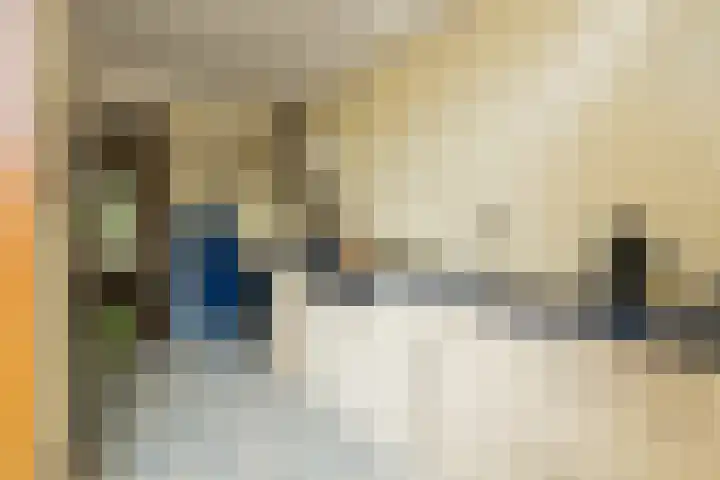Prof. Meijerslaan 64 Rijswijk thumbnail 16