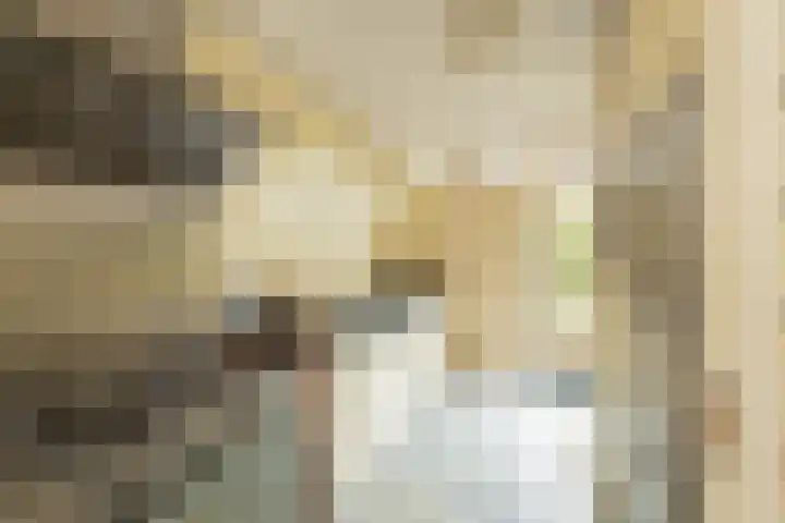 Prof. Meijerslaan 64 Rijswijk thumbnail 17