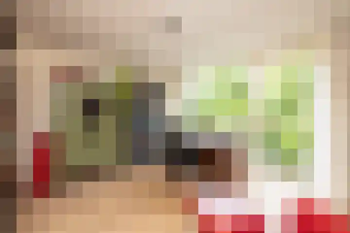 Prof. Meijerslaan 64 Rijswijk thumbnail 29