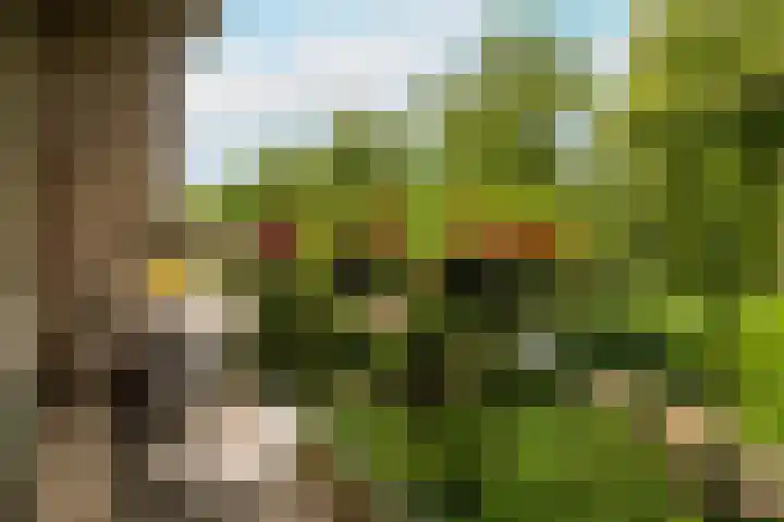 Prof. Meijerslaan 64 Rijswijk thumbnail 30