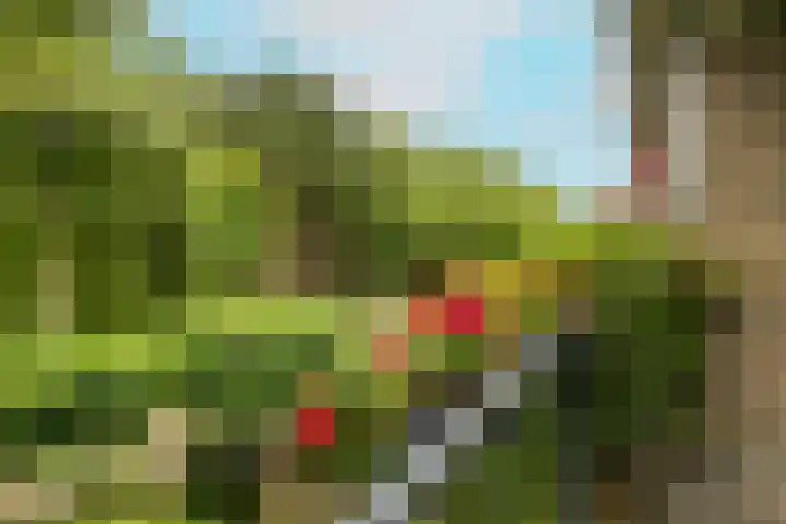 Prof. Meijerslaan 64 Rijswijk thumbnail 31
