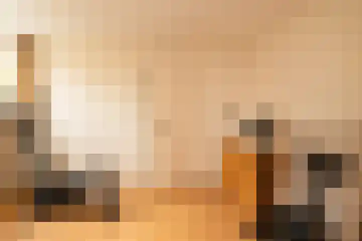 Prof. Meijerslaan 64 Rijswijk thumbnail 36