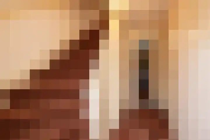 Prof. Meijerslaan 64 Rijswijk thumbnail 40