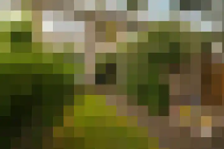 Prof. Meijerslaan 64 Rijswijk thumbnail 43