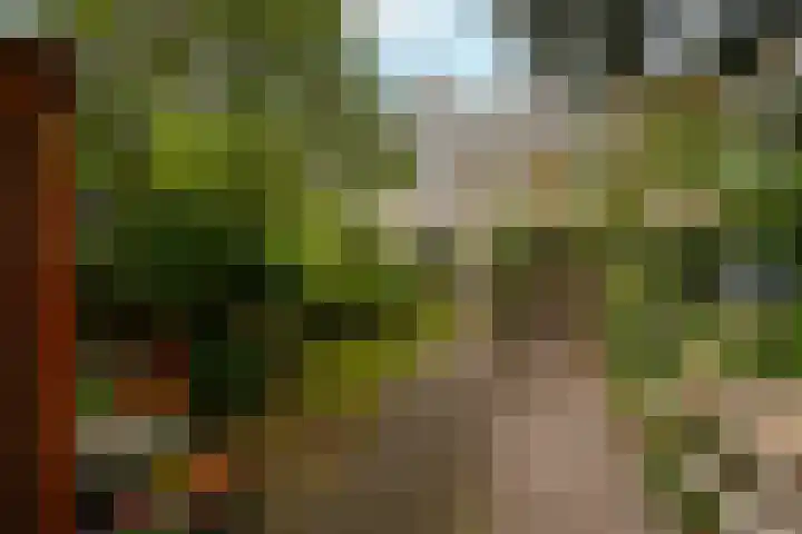 Prof. Meijerslaan 64 Rijswijk thumbnail 44