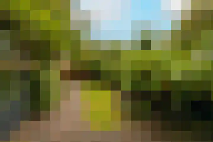 Prof. Meijerslaan 64 Rijswijk thumbnail 45