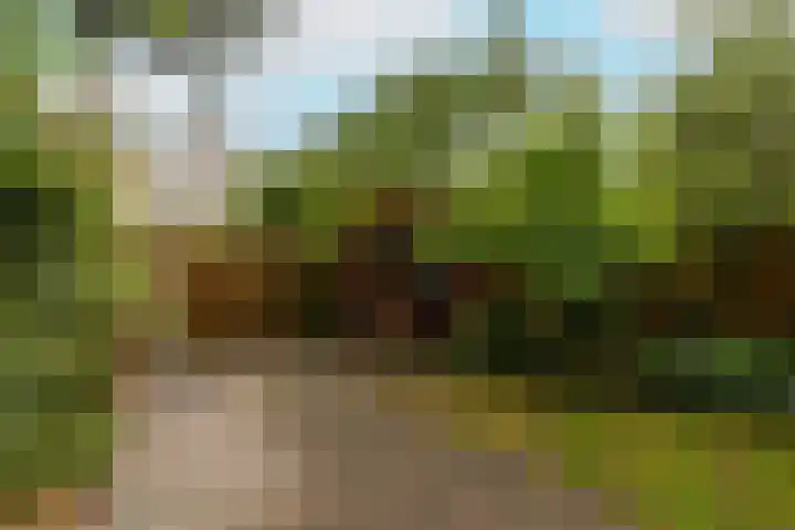 Prof. Meijerslaan 64 Rijswijk thumbnail 46