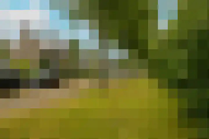 Prof. Meijerslaan 64 Rijswijk thumbnail 48