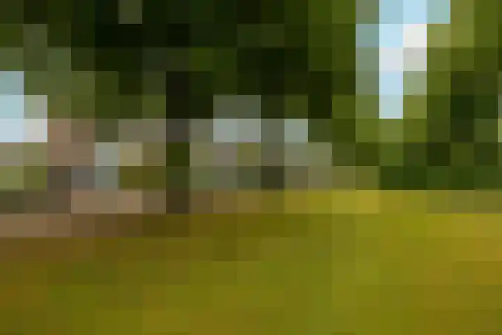 Prof. Meijerslaan 64 Rijswijk thumbnail 49