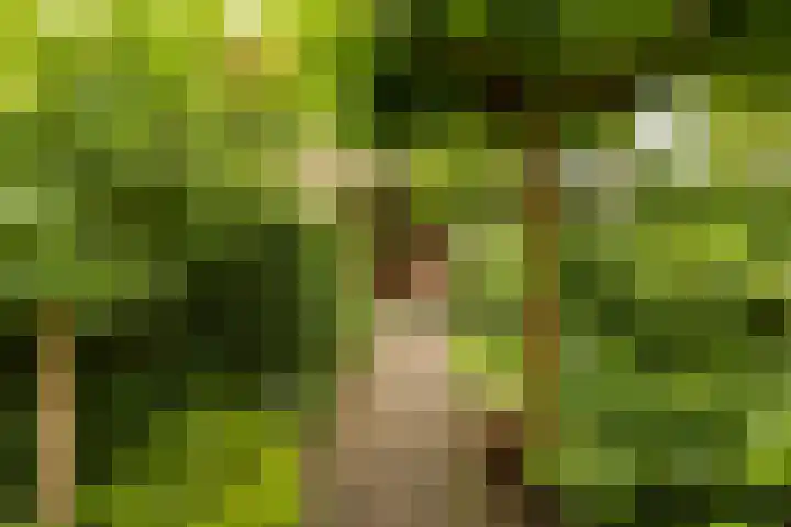 Prof. Meijerslaan 64 Rijswijk thumbnail 5