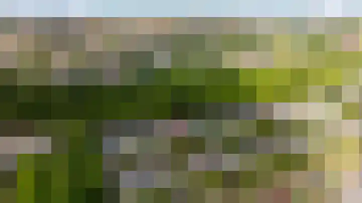Prof. Meijerslaan 64 Rijswijk thumbnail 51