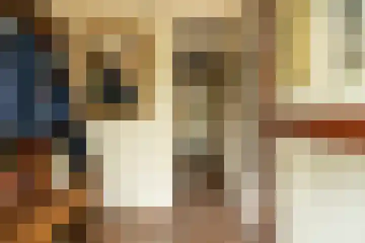 Prof. Meijerslaan 64 Rijswijk thumbnail 6