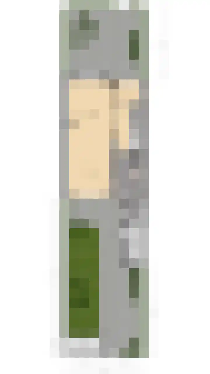 Prof. Meijerslaan 64 Rijswijk thumbnail 60