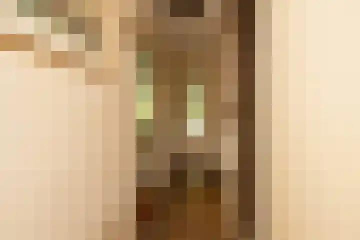 Prof. Meijerslaan 64 Rijswijk thumbnail 7
