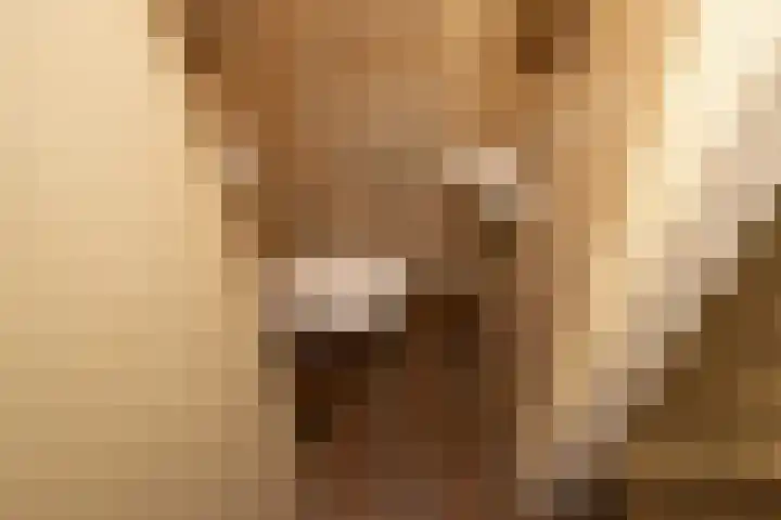 Prof. Meijerslaan 64 Rijswijk thumbnail 8