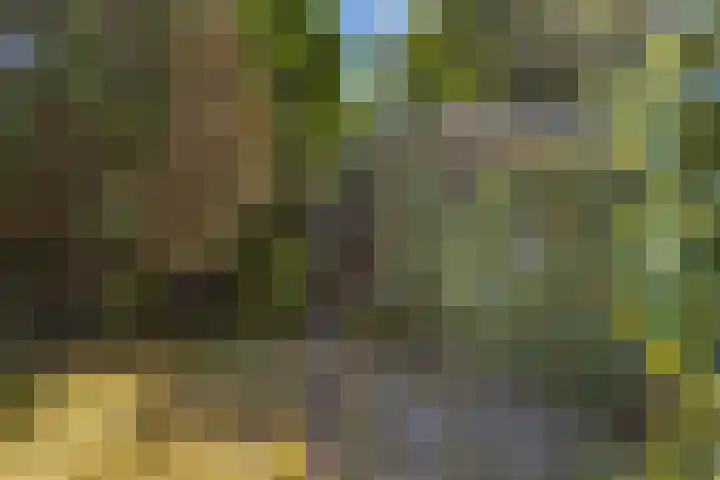Prof. Meijerslaan 69 Rijswijk thumbnail 15