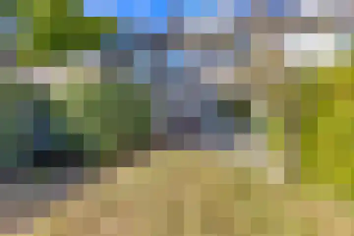 Prof. Meijerslaan 69 Rijswijk thumbnail 20
