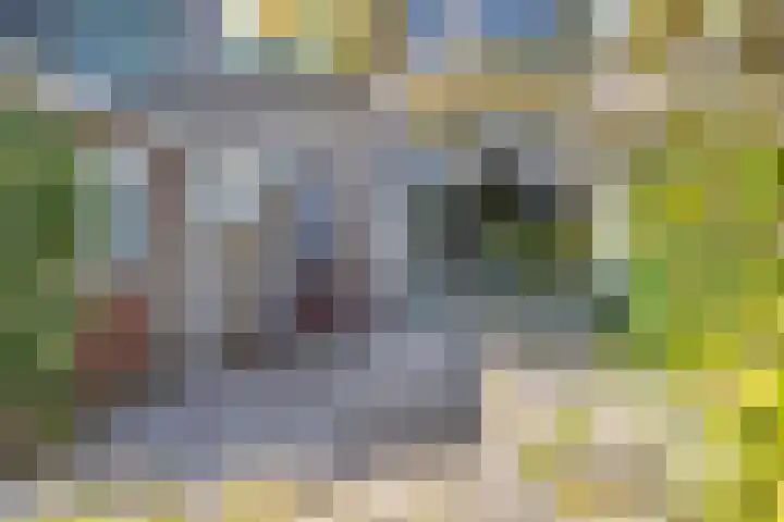 Prof. Meijerslaan 69 Rijswijk thumbnail 21