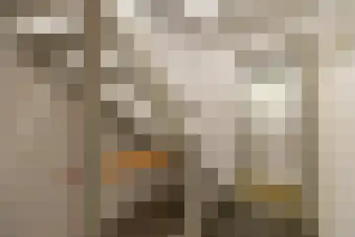 Prof. Meijerslaan 69 Rijswijk thumbnail 25