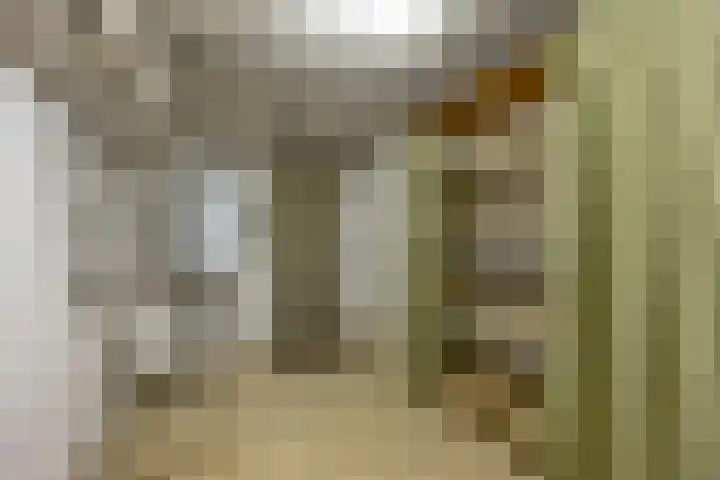 Prof. Meijerslaan 69 Rijswijk thumbnail 28