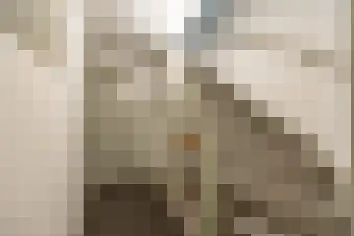 Prof. Meijerslaan 69 Rijswijk thumbnail 29