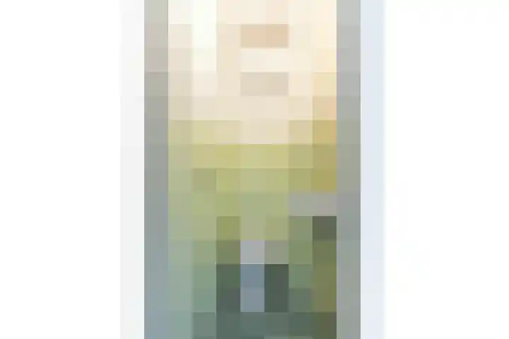 Prof. Meijerslaan 69 Rijswijk thumbnail 32