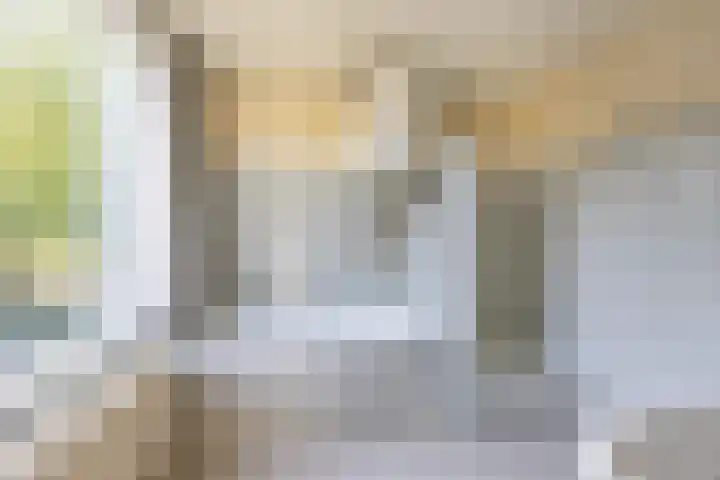 Prof. Meijerslaan 69 Rijswijk thumbnail 34