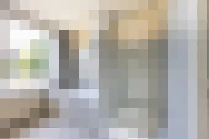 Prof. Meijerslaan 69 Rijswijk thumbnail 35